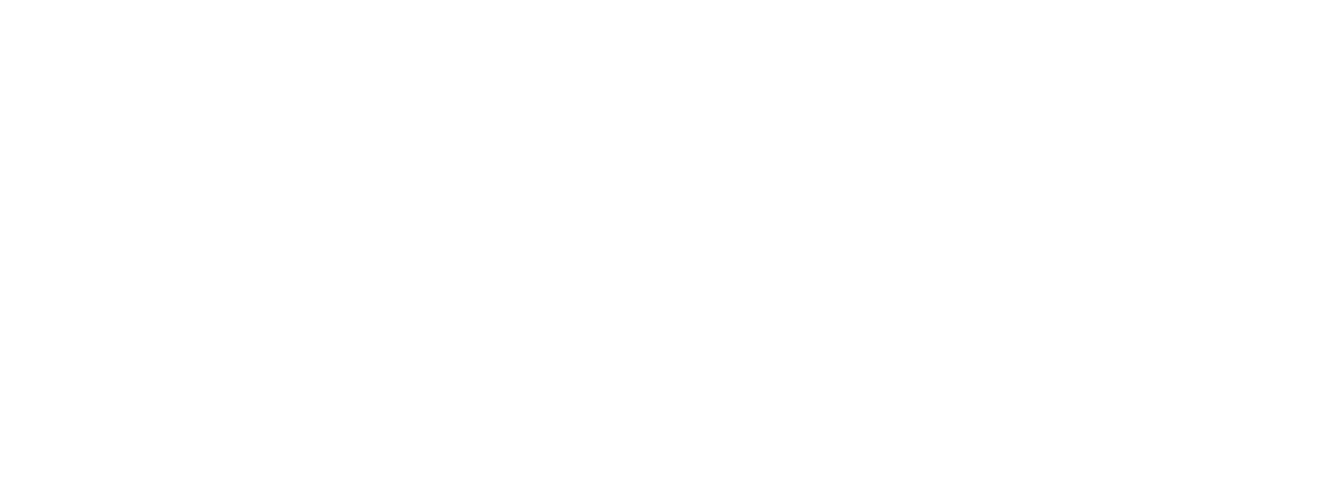 KERN Schrift-Logo in weiß mit KERN Delphin