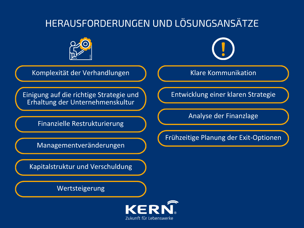 Grafik Herausforderungen und Lösungsansätze bei Private Equity Investitionen