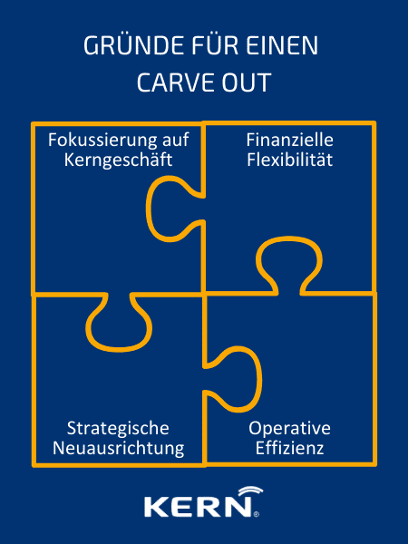 Grafik zu den Gründen für einen Carve Out